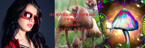 твердый Алексин