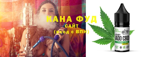 хмурый Алзамай