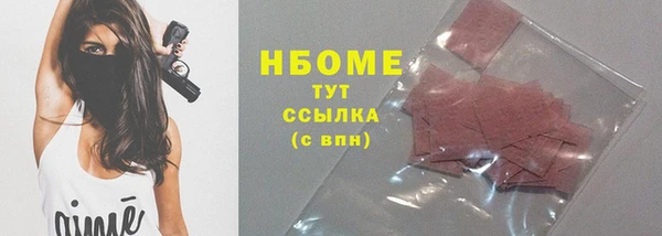 хмурый Алзамай