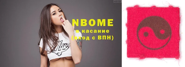 хмурый Алзамай
