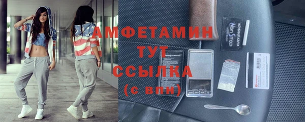 хмурый Алзамай